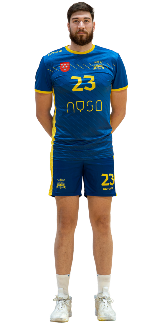 Bozidar Vucicevic