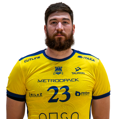 Bozidar Vucicevic 