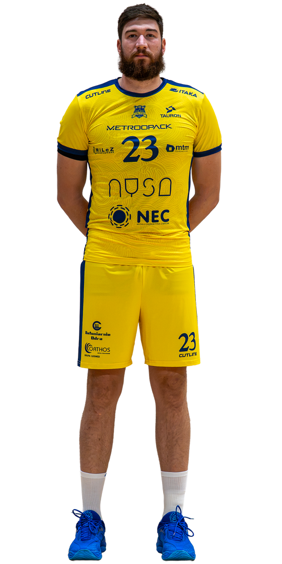 Bozidar Vucicevic